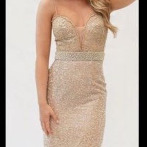 Sherri Hill 11273 Dress in Nude Color